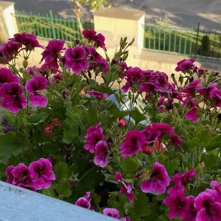 Fedro Domus Помпеї